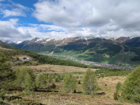 Open hoogvlakte met lariksen en het dorp in de verte – Crap de la Parè vanaf de Passo Eira, Livigno