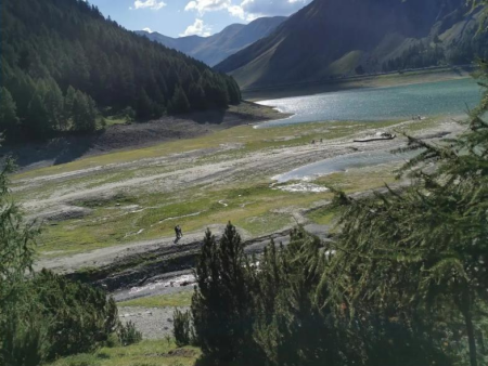 Dal met een beek en beboste hellingen onder een grijze lucht – Marmottenpad naar Alpe Federia (route 163), Livigno