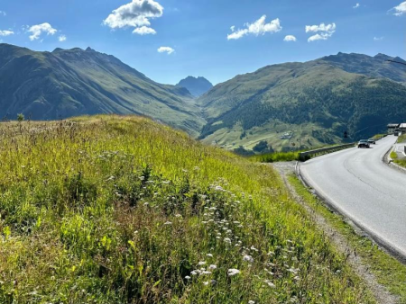 Weg door een groene bergpas met bergen aan weerszijden – Van Livigno naar de Zwitserse grens (route 132), Livigno